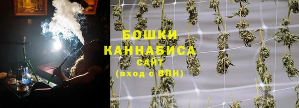 прущие грибы Богородицк