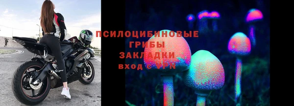 прущие грибы Богородицк