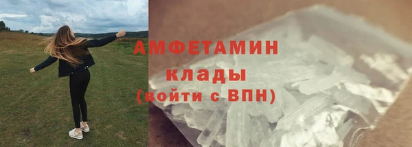 прущие грибы Богородицк