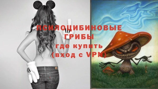 прущие грибы Богородицк