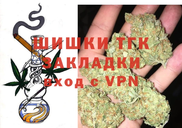 дмт Бородино